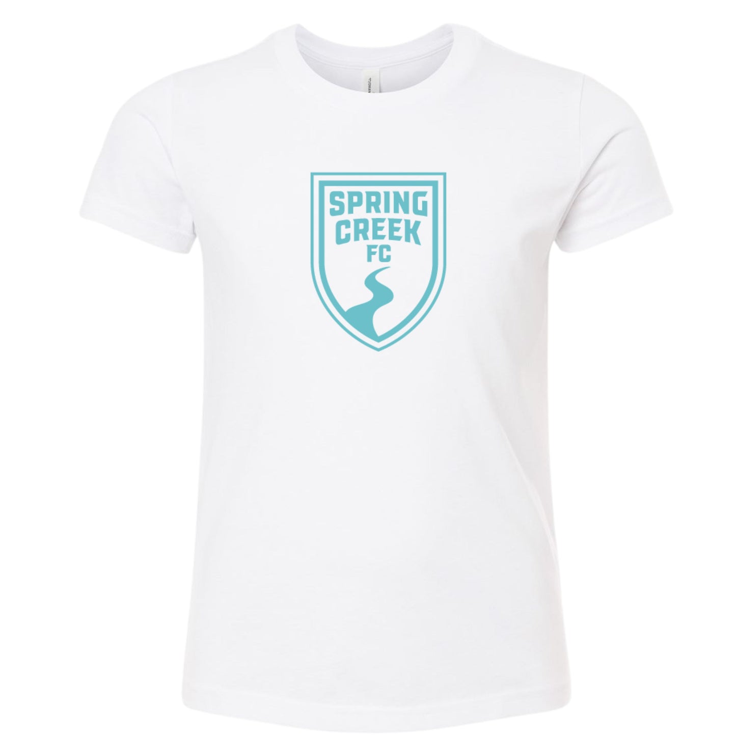 Adult T-Shirt- Teal Logo