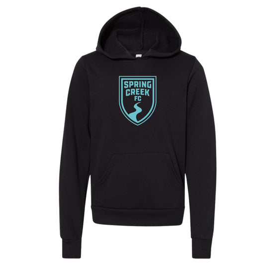 Youth Hoodie- Teal Logo