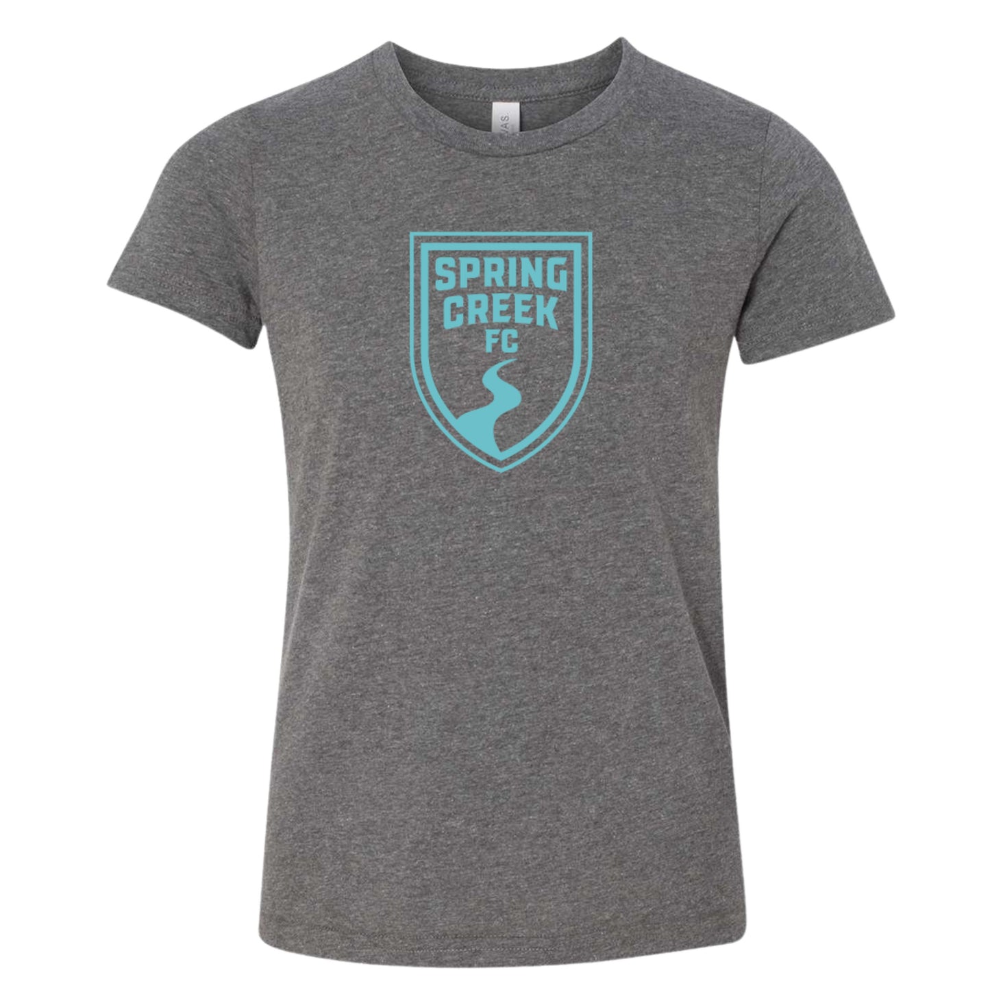 Adult T-Shirt- Teal Logo